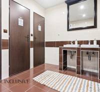 Na prenájom podnikateľské priestory, Senec - Interiér kúpeľne v hoteloch a penziónoch s dvojitým umývadlom, podlaha s dreveným dekorom.