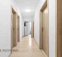 Na predaj 3-izbový byt so záhradkou, Senec - Chodba s bielymi stenami, podlahou s dreveným dekorom a drevenými dverami v Hotely a penzióny.
