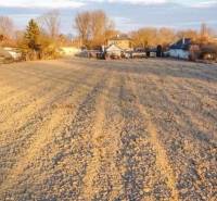 Na predaj 5-izb. rodinný dom na 50-á pozemku, Sap - Pohľad na pole pri rodinných domoch v Sap, obklopené stromami a modrou oblohou.