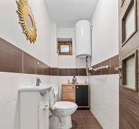 Na predaj 5-izb. rodinný dom na 50-á pozemku, Sap - Toaleta v rodinnom dome s dekoratívnym zrkadlom, drevenými dvierkami a hnedými obkladmi.