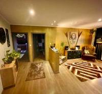 Na predaj 5-izb. rodinný dom na 50-á pozemku, Sap - Interiér rodinného domu s podlahou s dreveným dekorom, kreslo, dekorácie a rastliny.