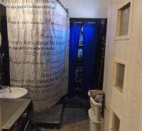 Na predaj 3-izb. rodinný dom, Gabčíkovo – Polná ulica - Kúpeľňový kút so sprchovým závesom a práčkou v rodinnom dome na Poľnej v Gabčíkove.