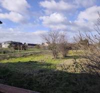 Na predaj 3-izb. rodinný dom, Gabčíkovo – Polná ulica - Záhrady a stromy za rodinnými domami na Poľnej ulici v Gabčíkove.