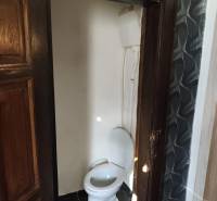 Na predaj 3-izb. rodinný dom, Gabčíkovo – Polná ulica - Drevené dvere vedú do malej kúpeľne s toaletou v Rodinnom dome.