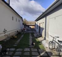 Na predaj 3-izb. rodinný dom, Gabčíkovo – Polná ulica - Dvor rodinného domu na Poľnej v Gabčíkove s bicyklom a psom na trávniku.