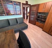 3 izbový byt s balkónom Topoľčany  - Izba s pohovkou, vitrínou s modelmi a podlahou s dreveným dekorom v 3-izbovom byte.