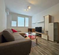 Prenájom, 1,5i Terasa, Kežmarská, zariadený - Obývacia izba 2-izbového bytu s rohovou sedačkou a podlahou s dreveným dekorom.