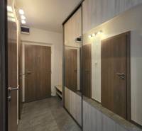 Prenájom, 1,5i Terasa, Kežmarská, zariadený - Chodba v 2-izbovom byte s veľkou zrkadlovou skriňou a hnedými dverami.