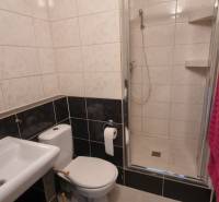 Prenájom 1- izbový byt  - Kúpeľňa s umývadlom, toaletou a sprchovým kútom v 1-izbovom byte.