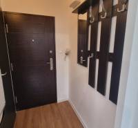 Prenájom 1- izbový byt  - Predsieň s podlahou s dreveným dekorom a tmavým nábytkom, 1-izbový byt.