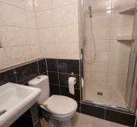 Prenájom 1- izbový byt  - Kúpeľňa so sprchovým kútom a toaletou v 1-izbovom byte, ladená v tmavých tónoch.