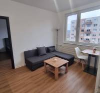 Prenájom 1- izbový byt  - Obývacia izba v 1-izbovom byte s pohovkou, stolom, stoličkou a podlahou s dreveným dekorom.