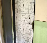 Predaj garsónky – Tlmače, Lipník- ihneď voľná (MK-3) - Dvere pokryté mestským motívom, podlaha s dreveným dekorom, stena v sýtozelenej farbe.