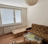 Predaj garsónky – Tlmače, Lipník- ihneď voľná (MK-3) - Garsónka obsahuje sedačku, kreslo, konferenčný stolík, podlahu s dreveným dekorom a veľké okno.