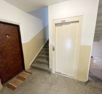 PREŠOV-3 IZBOVÝ BYT,LODŽIA,67m2,SÍDLISKO III.,MATICE SLOVENSKEJ - Vchod do 3-izbového bytu, schodisko, výťah na Matice Slovenskej v Prešove.