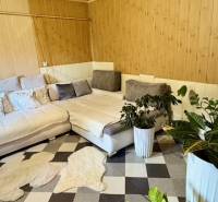 Útulný rodinný dom v tichej lokalite Mýtnych Ludán (MK-4) - Interiér rodinného domu s rohovou sedačkou, rastlinami a vzorovanou podlahou s dreveným dekorom.