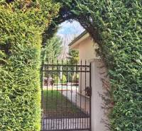 Luxusný rodinný dom s bazénom a dvojgarážou v Komárne - Živý plot s bránkou v rodinnom dome v Komárne, vedie do záhrady.