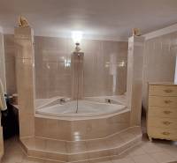 Luxusný rodinný dom s bazénom a dvojgarážou v Komárne - Kúpeľňa v rodinnom dome s rohovou vaňou a dekorovaným nábytkom.