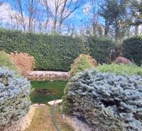 Luxusný rodinný dom s bazénom a dvojgarážou v Komárne - Rodinný dom v Komárne s jazierkom a okrasnými kríkmi v záhrade.