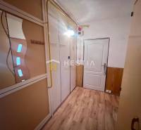 TOP 3 izbový byt v Moravskom Lieskovom s garážou a predzáhradkou - Chodba v 3-izbovom byte s drevenou podlahou, zrkadlom a vstavanou skriňou.