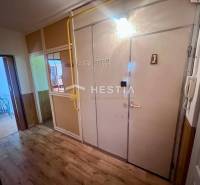 TOP 3 izbový byt v Moravskom Lieskovom s garážou a predzáhradkou - Chodba v 3-izbovom byte s vešiakom, zrkadlom a interiérovými dverami.