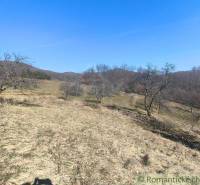 Krásny slnečný pozemok v Novej Bani - Kopcovité Záhrady v okolí Novej Bane s holými stromami a modrou oblohou.