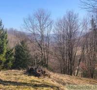 Krásny slnečný pozemok v Novej Bani - Jesenná príroda v Záhradách Novej Bane s viditeľnými ihličnanmi a trávnatým porastom.