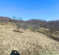 Krásny slnečný pozemok v Novej Bani - Kopcovitá krajina v Záhradách v Novej Bani s riedkymi stromami a modrou oblohou.