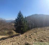 Krásny slnečný pozemok v Novej Bani - Krajina so stromami a kopcami v okolí Nová Baňa v záhradách.