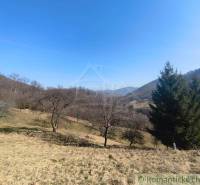 Krásny slnečný pozemok v Novej Bani - Prírodná krajina v okolí Nová Baňa so stromami a kopcami na Záhradách.