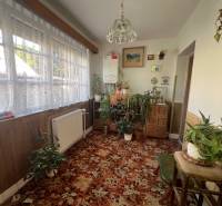 RD Drahovce ZĽAVA !!! - Izba v rodinnom dome s množstvom rastlín, koberec a veľké okno s čipkovým závesom.