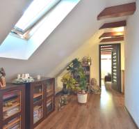 LIMBACH, 176 m2 –  kompletne zrekonštruovaný 5-i rodinný dom - Podkrovná chodba v rodinnom dome so šikmým stropom v Limbachu, vybavená poličkami a rastlinami.