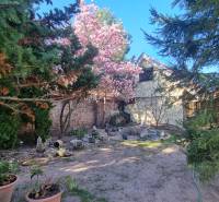 LIMBACH, 176 m2 –  kompletne zrekonštruovaný 5-i rodinný dom - Rodinný dom na ulici Limbach, kvetinová záhrada s magnóliou a kamenným múrom.