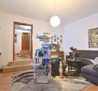 LIMBACH, 176 m2 –  kompletne zrekonštruovaný 5-i rodinný dom - V rodinnom dome na ulici Limbach vidno obývačku s pohovkou, koberec a škrabadlo.