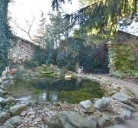 LIMBACH, 176 m2 –  kompletne zrekonštruovaný 5-i rodinný dom - Záhrada s jazierkom obklopená rastlinami a sochami korytnačiek, na ulici Limbach.
