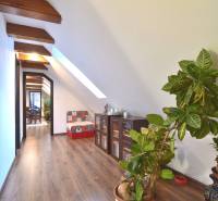 LIMBACH, 176 m2 –  kompletne zrekonštruovaný 5-i rodinný dom - Chodba so strešným oknom, drevenou podlahou a kvetmi, typická pre rodinný dom.