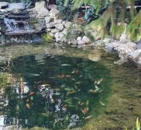 LIMBACH, 176 m2 –  kompletne zrekonštruovaný 5-i rodinný dom - Záhradné jazierko s rybami, vodopádom a zeleňou. Limbach a rodinný dom atmosféra.