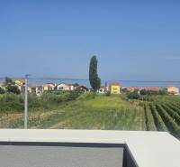 VRSI/ZUKVE - vila s bazénom - Výhľad z Vily v Zukve, Vrsi na more, domy a vinice v pozadí.