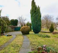 RD v jednej z najžiadanejších lokalít Michaloviec – pod Hrádkom - Záhrada rodinného domu na ulici Kalinčiaka v Michalovciach s chodníkom a stromami.