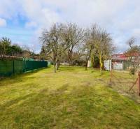 RD v jednej z najžiadanejších lokalít Michaloviec – pod Hrádkom - Záhrada v rodinnom dome na Kalinčiakovej ulici v Michalovciach s trávnikom a stromami.