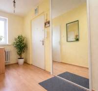 REZERVONY - 2 izbový tehlový byt na Novej Dubnici, 60  - Svetlá predsieň s podlahou s dreveným dekorom, zrkadlom a izbovými rastlinami v 2-izbovom byte.