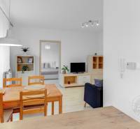 Slnečný 2i byt, pivnica, internet v cene, Nivy, Niťová ul. - Obývacia izba v 2-izbovom byte s jedálenským stolom, pohovkou a dekoráciami.