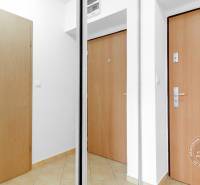 Slnečný 2i byt, pivnica, internet v cene, Nivy, Niťová ul. - Predsieň v 2-izbovom byte s dlažbou a zrkadlovou skriňou.