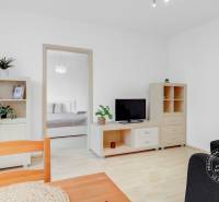 Slnečný 2i byt, pivnica, internet v cene, Nivy, Niťová ul. - Obývacia izba v 2-izbovom byte s TV, policou a podlahou s dreveným dekorom.