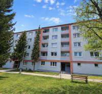 Rezervovaný/ Na predaj 2-izb. byt s loggiou, Senica, Paláriková ul. - Päťposchodový bytový dom na Palárikovej ulici v Senici obklopený zeleňou.