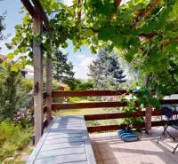 3D, Predaj novostavba, celoročne obývateľná chata, Stupava, Ovocinár - Záhrada chaty v Stupave s pergolou a rastlinami, stôl a stoličky na terase.