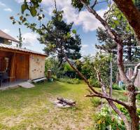 3D, Predaj novostavba, celoročne obývateľná chata, Stupava, Ovocinár - Záhrada s chatou v meste Stupava ovocinár, stromami a ohniskom na trávniku.