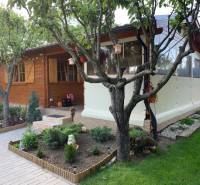 Predáme záhradu so zrubovou chatou, Nitra - Dolné Krškany - Drevený záhradný domček obklopený zeleňou v záhradách Dolných Krškanoch v Nitre.