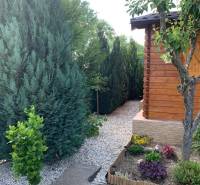 Predáme záhradu so zrubovou chatou, Nitra - Dolné Krškany - Záhrady v Dolných Krškanoch, Nitra s upravenými ihličnanmi a dreveným záhradným domčekom.