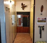 Veľký 2-izbový byt, Martin - Sever - REZERVOVANÉ - Chodba v 2-izbovom byte s vešiakovou stenou a dekoráciou na stene.